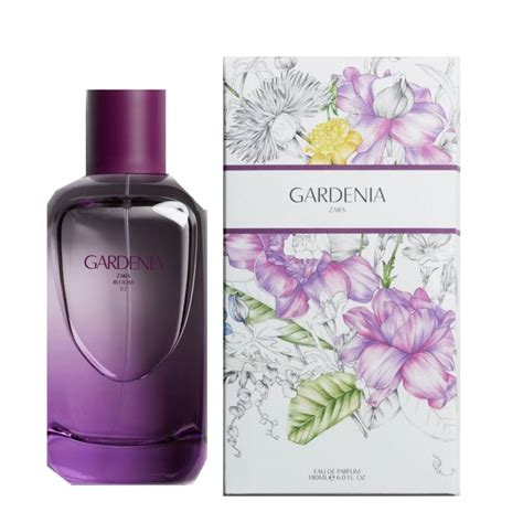 Gardenia Eau de Parfum Zara for women.